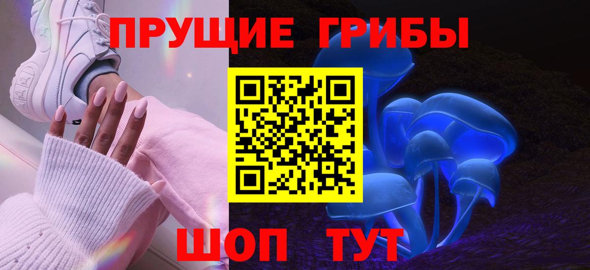 Галлюциногенные грибы GOLDEN TEACHER  Вход с VPN  Псилоцибиновые грибы мицелий  Тайшет 